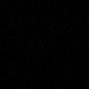 Meet your Posher, Leo